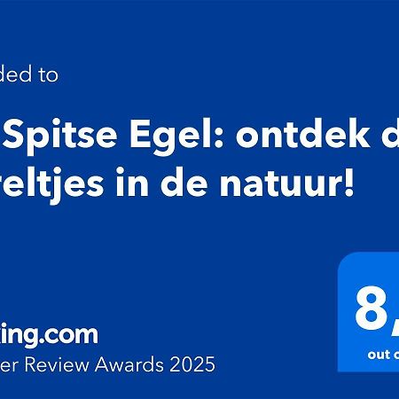 De Spitse Egel: Ontdek De Pareltjes In De Natuur! 欧特罗 外观 照片