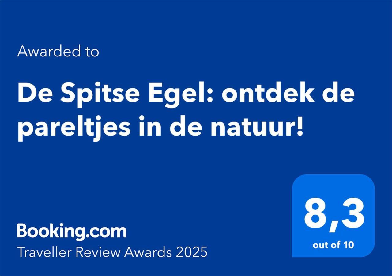De Spitse Egel: Ontdek De Pareltjes In De Natuur! 欧特罗 外观 照片